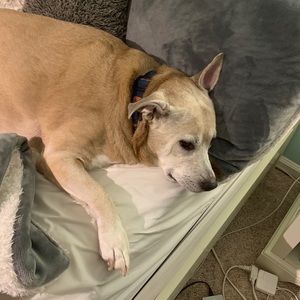 Meet your Posher, Loren